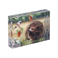 Fauna of Australia - Echidna & Finch Mini Gallery