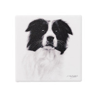 Delightful Dogs - Border Collie Ceramic Coaster