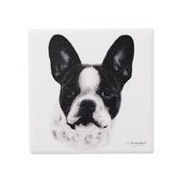 Delightful Dogs - French Bulldog Ceramic Coaster