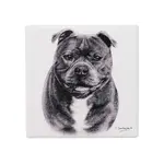Ashdene Delightful Dogs - Staffy Terrier Ceramic Coaster