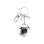 Ashdene Delightful Dogs - Pug Keyring