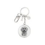 Ashdene Delightful Dogs - Cavoodle Keyring