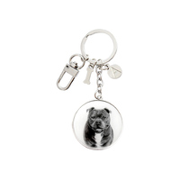 Ashdene Delightful Dogs - Staffy Terrier Keyring