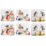 Ashdene Kitten Adventures - Coaster 6 Pack