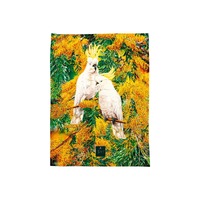 Ashdene Backyard Beauties - Cockatoos Tea Towel