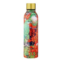 Ashdene Backyard Beauties - King Parrots Drink Bottle