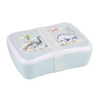 Dino Land - Lunch Box
