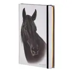 Ashdene Horse Trio - Black Hardcover A5 Notebook