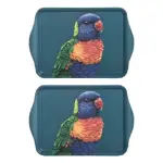 Ashdene Modern Birds - Scatter Tray 2 Pack - Rainbow Lorikeet