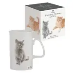 Ashdene Purrrfect Moments Mug - British Short Hair
