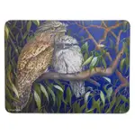 Ashdene Midnight Tawny - Surface Protector