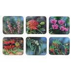 Ashdene Botanical Emblems - Coasters - Pack of 6