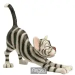 Pets With Personality - Sylvie Cat Stretching