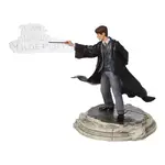 Wizarding World Of Harry Potter - Tom Riddle Figurine