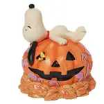 PRE PRODUCTION SAMPLE - Peanuts by Jim Shore - Snoopy Laying On Pumpkin - Halloween Snoopy