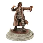 Wizarding World Of Harry Potter - Sirius Black Prisoner of Azkaban