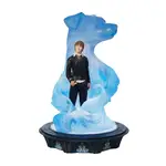 Wizarding World Of Harry Potter - Ron & Light Up Patronus