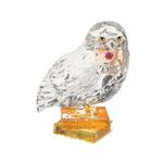PRE PRODUCTION SAMPLE - Wizarding World of Harry Potter - Hedwig Facet