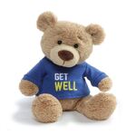 Gund Bears - Get Well (Blue)