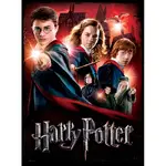 Wrebbit Harry Potter 500 Piece Poster Puzzle - Hogwarts School
