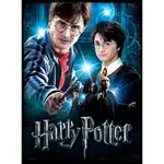 Wrebbit Harry Potter 500 Piece Poster Puzzle - Harry Potter