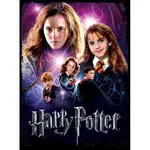 Wrebbit Harry Potter 500 Piece Poster Puzzle - Hermione Granger