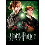 Wrebbit Harry Potter 500 Piece Poster Puzzle - Ron Weasley