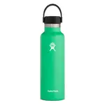 Hydro Flask Standard Mouth Drink Bottle - 621ml Spearmint Flex Cap