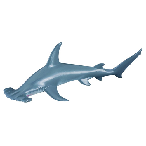 CollectA Sea Life - Scalloped Hammerhead Shark
