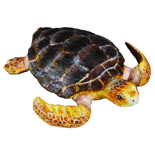 CollectA Sea Life - Loggerhead Turtle