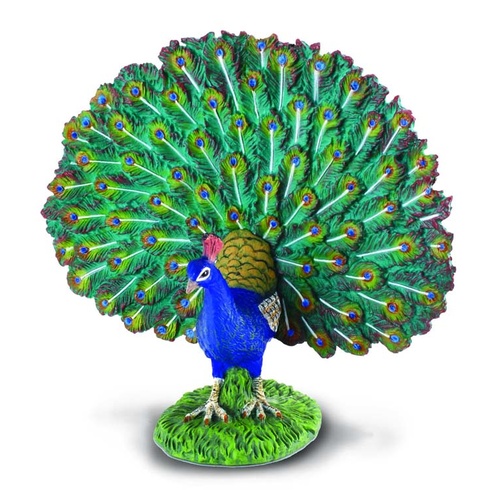 CollectA Farm Life - Peacock