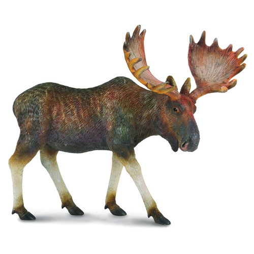 CollectA Wild Life - Moose