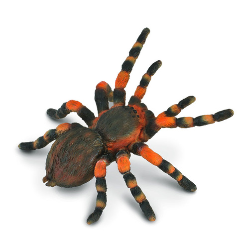 CollectA Insects - Mexican Redknee Tarantula