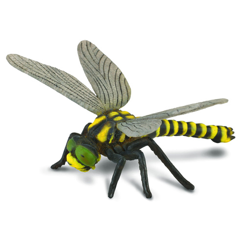 CollectA Insects - Golden-Ringed Dragonfly