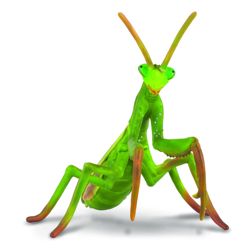 CollectA Insects - Praying Mantis