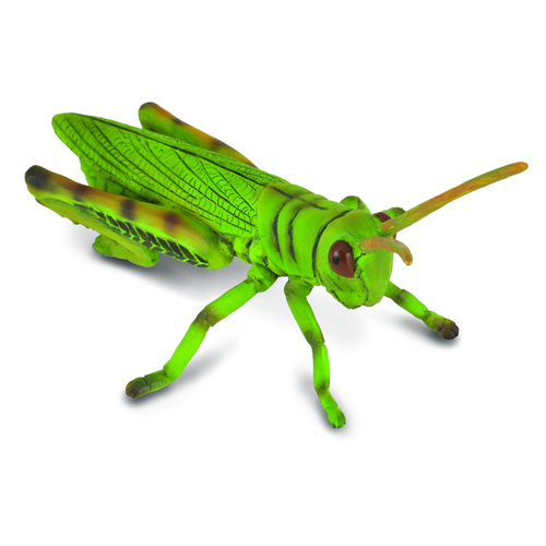 CollectA Insects - Grasshopper