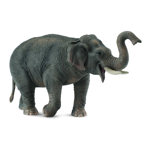 CollectA Wild Life - Asian Elephant