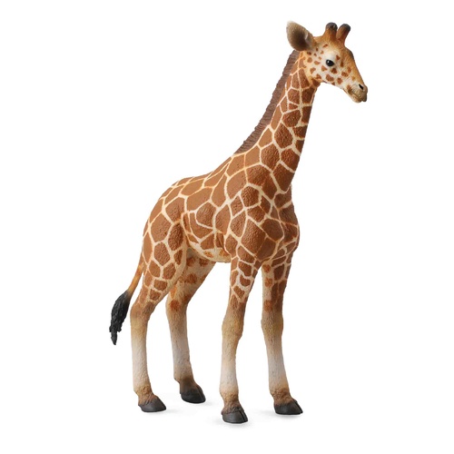 CollectA Wild Life - Reticulated Giraffe Calf