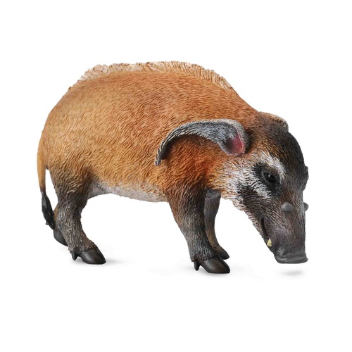 CollectA Wild Life - Red River Hog