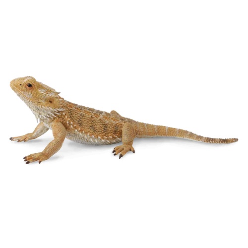 CollectA Insects - Bearded Dragon Lizard