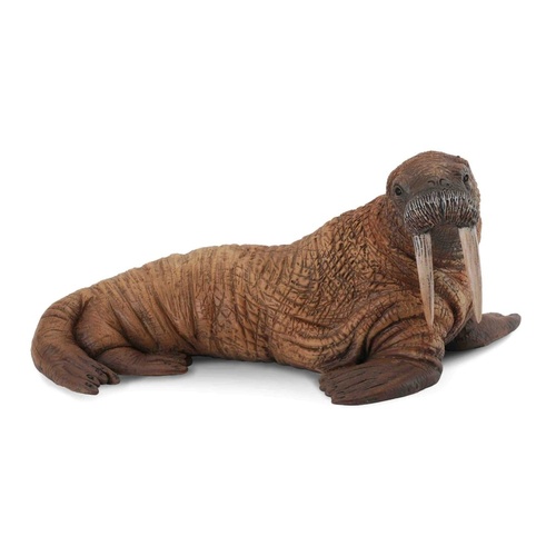 CollectA Sea Life - Walrus