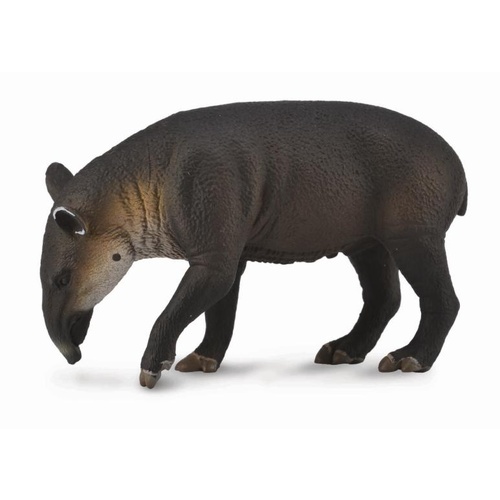 CollectA Wild Life - Baird's Tapir