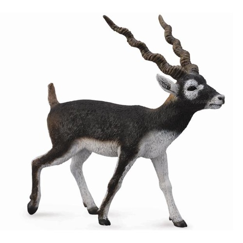 CollectA Wild Life - Blackbuck