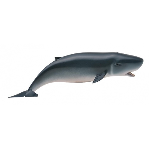 CollectA Sea Life - Pygmy Sperm Whale