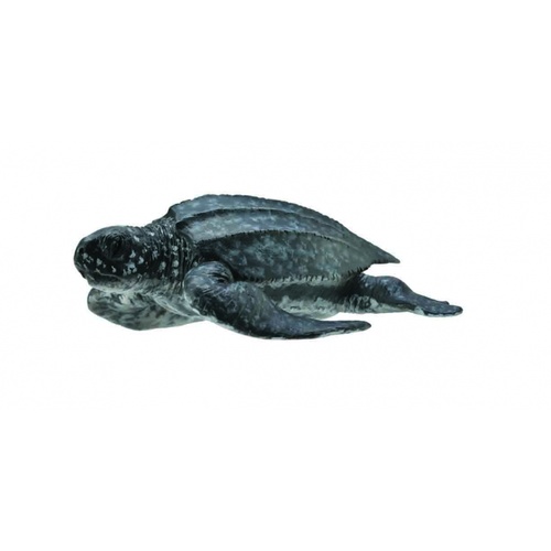 CollectA Sea Life - Leatherback Sea Turtle