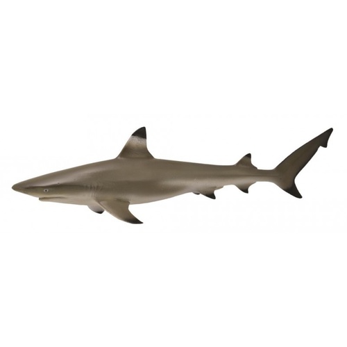 CollectA Sea Life - Blacktip Reef Shark