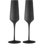 Tempa Aurora - Matte Black Champagne Glass 2 Pack