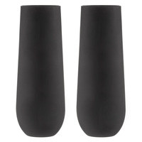 Tempa Aurora - Matte Black Stemless Champagne Glass 2 Pack