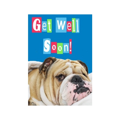Greeting Card - Get Well Soon - Bulldog
