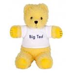 Play School Beanie - Big Ted 18cm